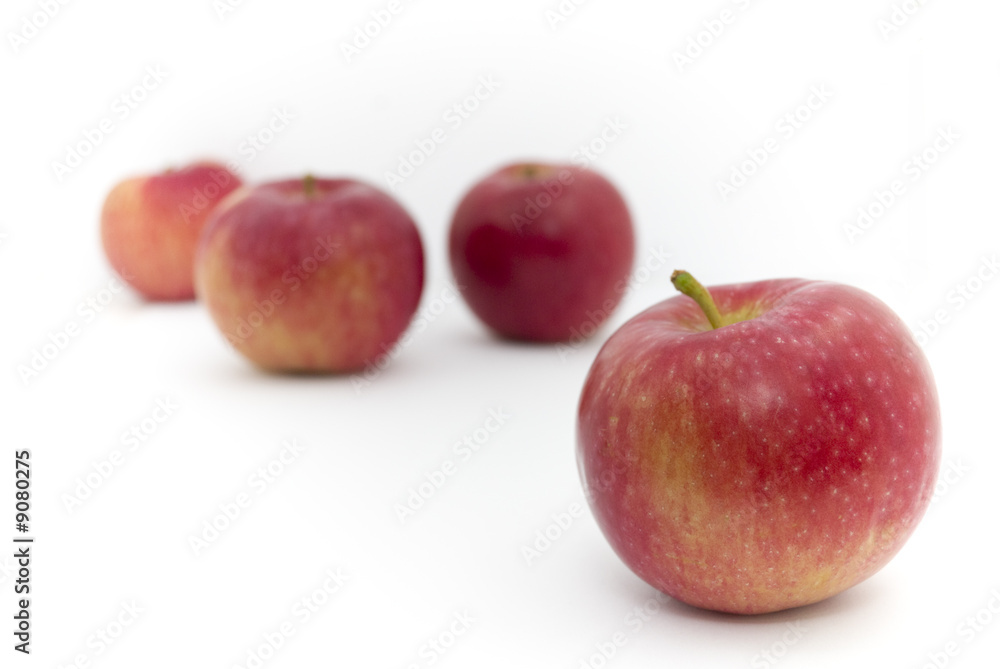 four red and yellow apples on white background four red and yellow apples on white background