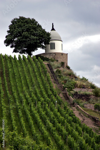 Schloss Wackerbarth in Radebeul bei Dresden