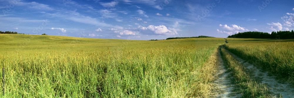 Panorama green grassland in russia