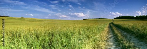 Panorama green grassland in russia