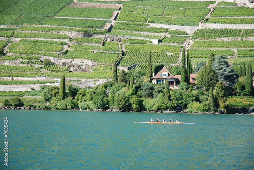 paysages du lac leman