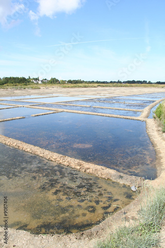 marais1
