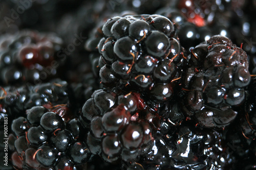 Fresh Ripe Blackberry - Healthy Eating