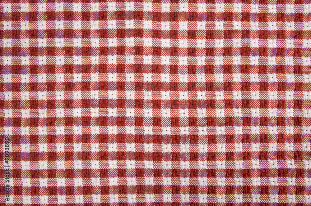 Red and White Checkered Picnic Blanket Detail