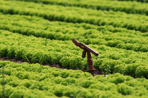 Agriculture