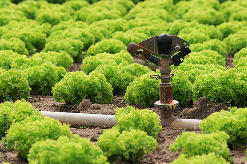 Agriculture