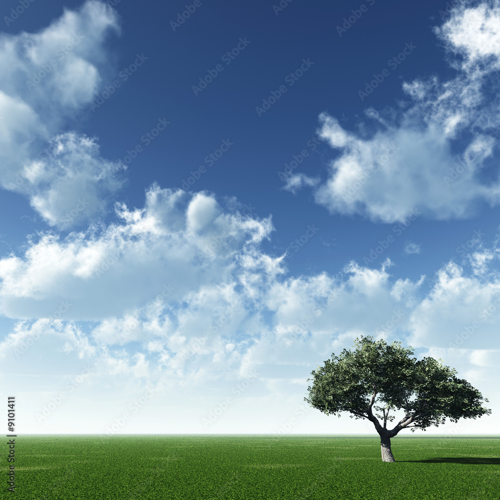 Obraz premium Alone tree and beautiful sky with clouds.