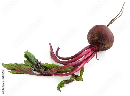 Beet root