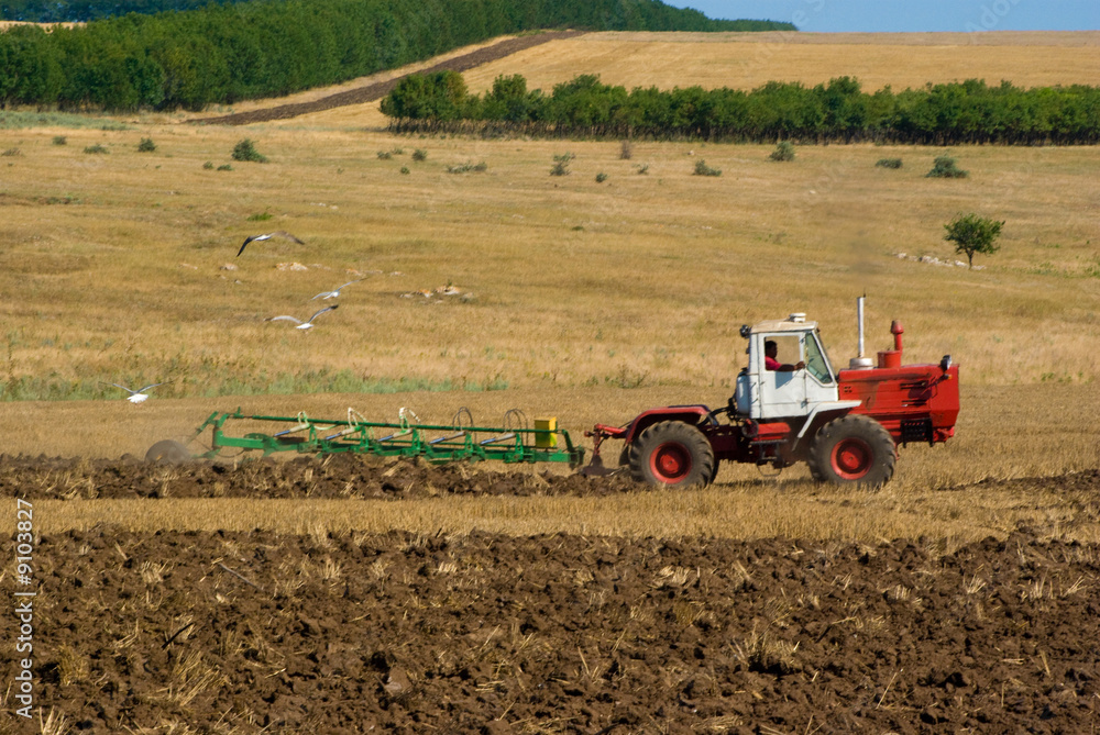Fototapeta premium farmer plowing the field 2