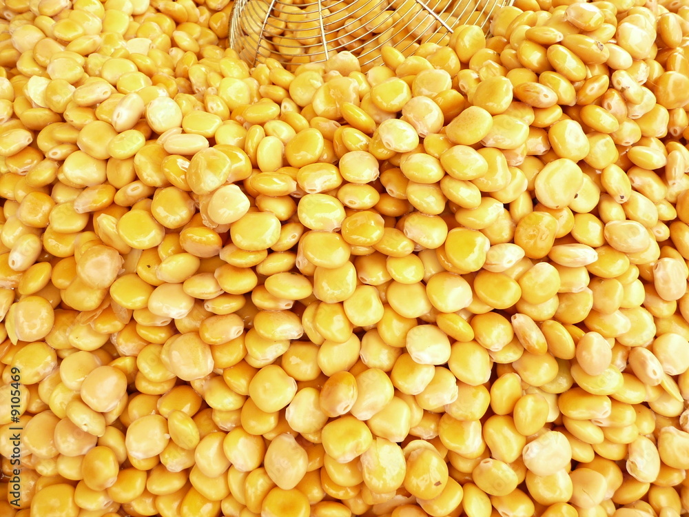 Lupins - lupini Lupins - lupini