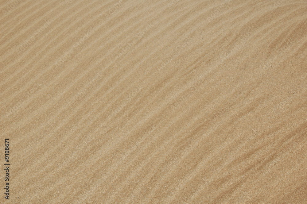 Sea sand background