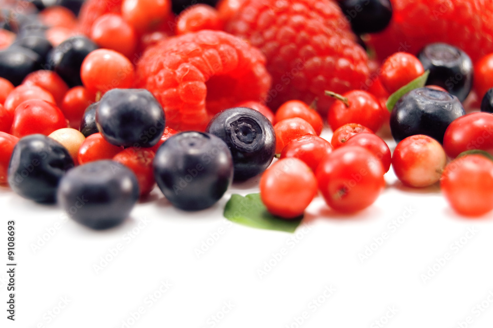 berry isolated on white background berry isolated on white background