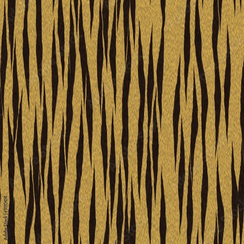 Tiger  Texture