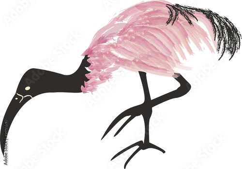 ibis rosa