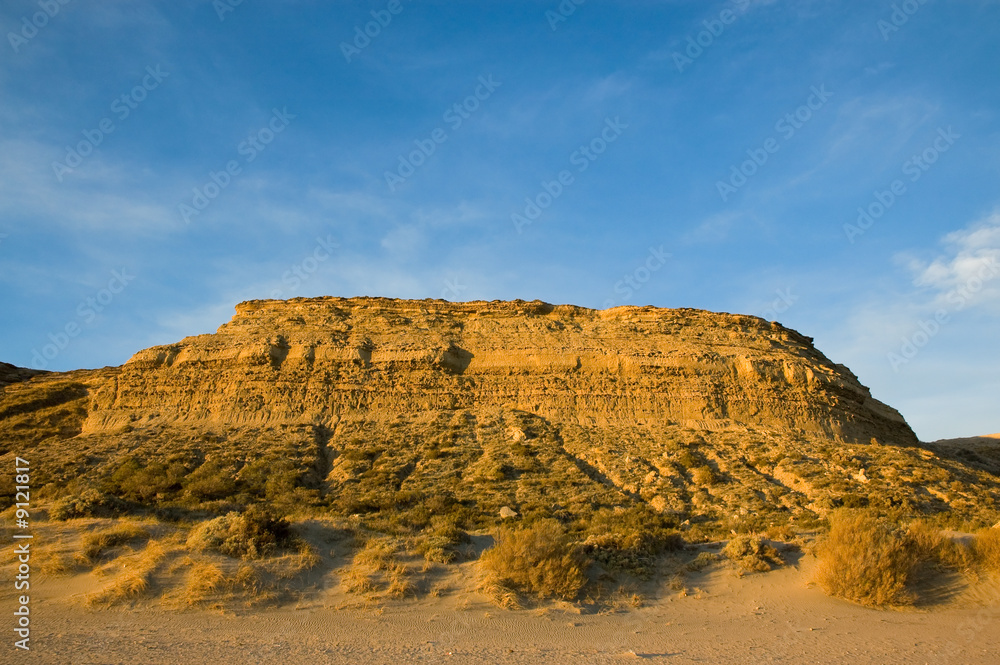 Desert landscape in the coast of patagonia with sunset light.