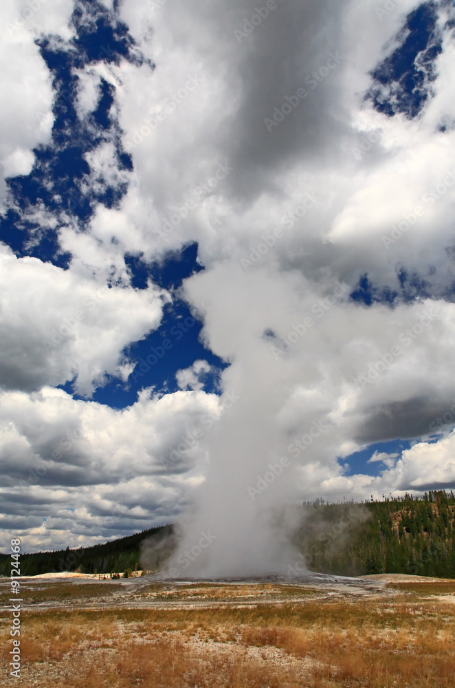 The Old Faithful Geyser in Yellowstone National Park