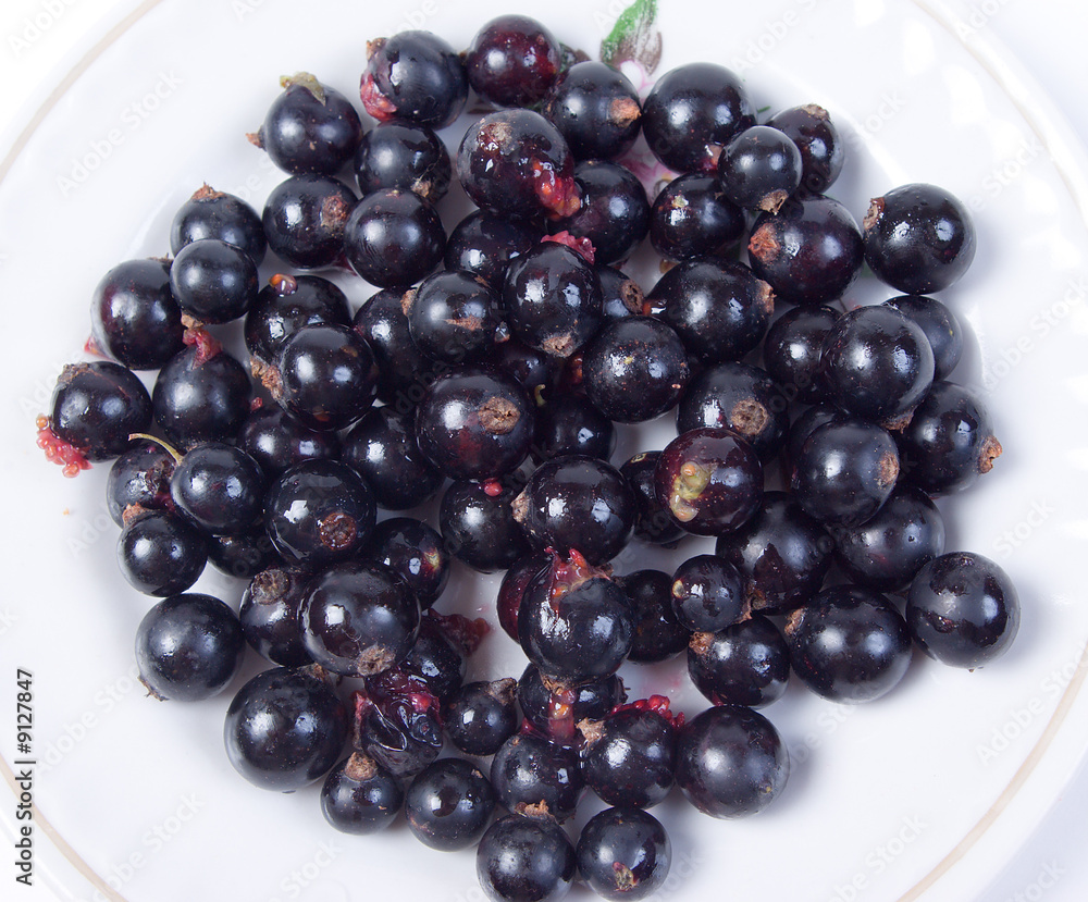 Black currants in a plate Black currants in a plate