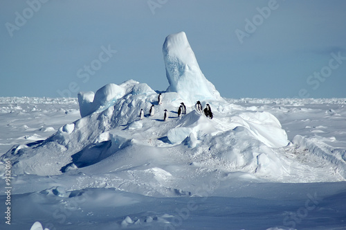 Penguin group in Antarctic pack ice scenery