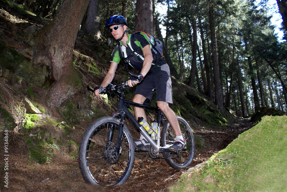 Obraz premium Mountainbike