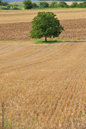 paysage du kochersberg