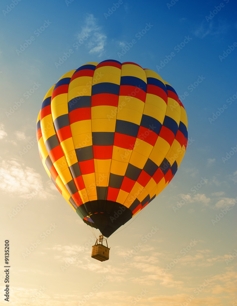 Obraz premium Hot air balloon soaring in early morning