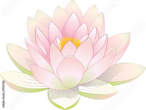 Fleur de lotus