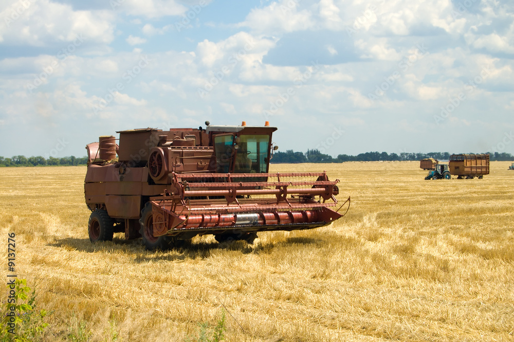 Fototapeta premium agricultural machines on harvesting on a background low clouds