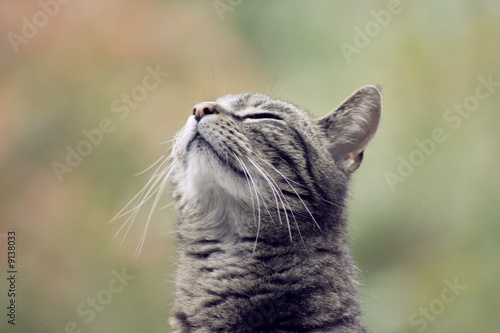 What is that smell?