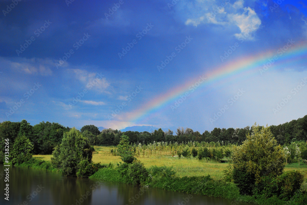 Rainbow fields Rainbow fields