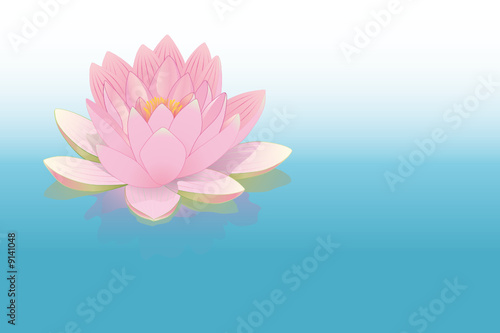 fleur de lotus rose posée sur l'eau