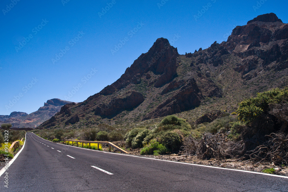 Road through Parque Nacional del Teide, Tenerife, Spain