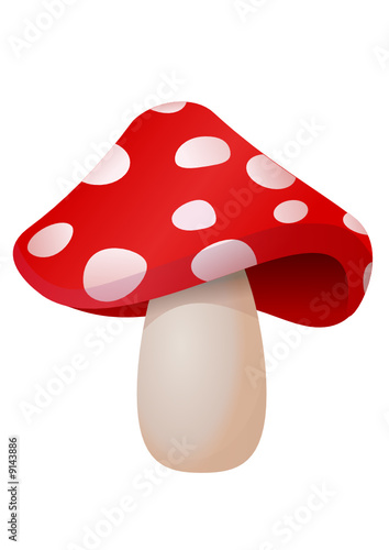 Champignon vénéneux (détouré)