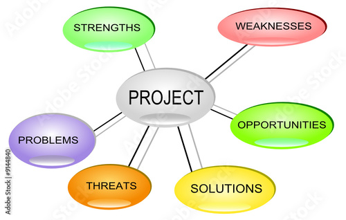 Project Management SWOT