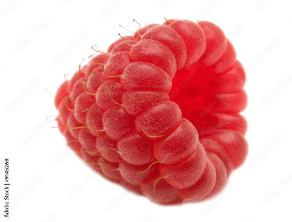 fresh raspberry isolated on white background fresh raspberry isolated on white background