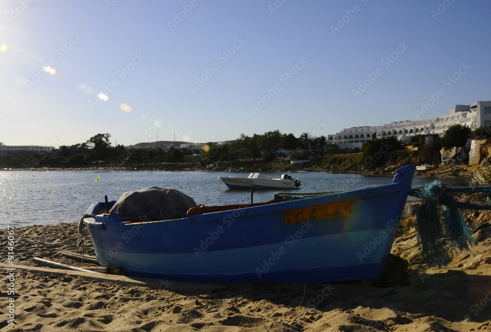 Fototapeta premium tunisia