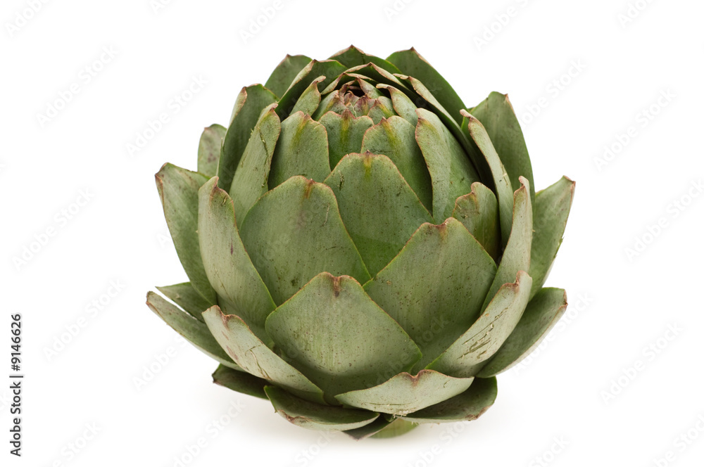 fresh artichoke on white background