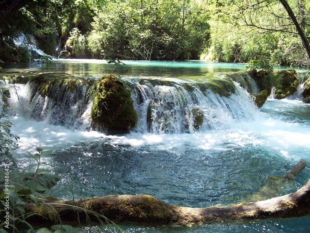 Obraz premium pletvice 17