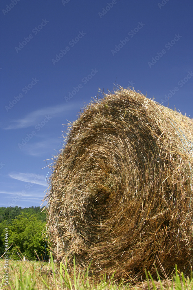 Rolled straw Rolled straw