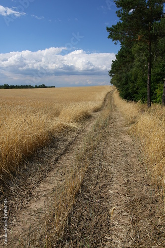 country road