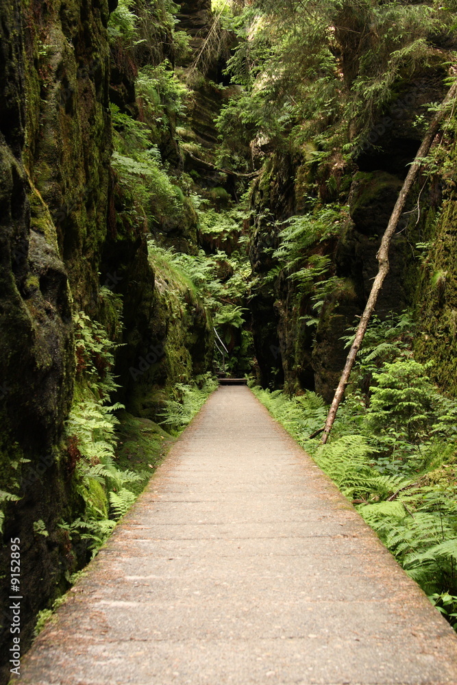 Obraz premium Wanderweg