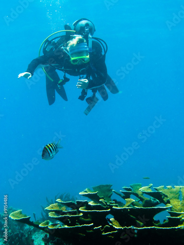 Shots of scuba diving in the Florida keys