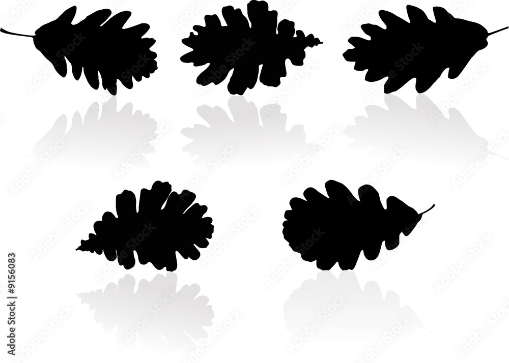 Silhouettes of leaves