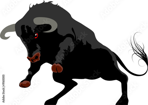 aggressive bull isolated