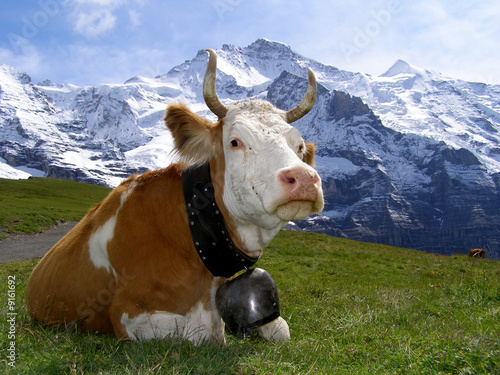 In the Alps