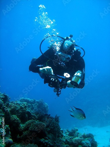 Taucher am Riff, Unterwasserfotografie