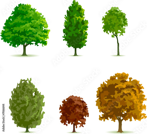 arbres