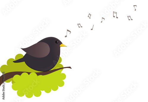Chant oiseau