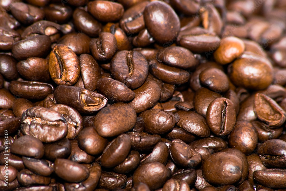 Obraz premium coffee beans