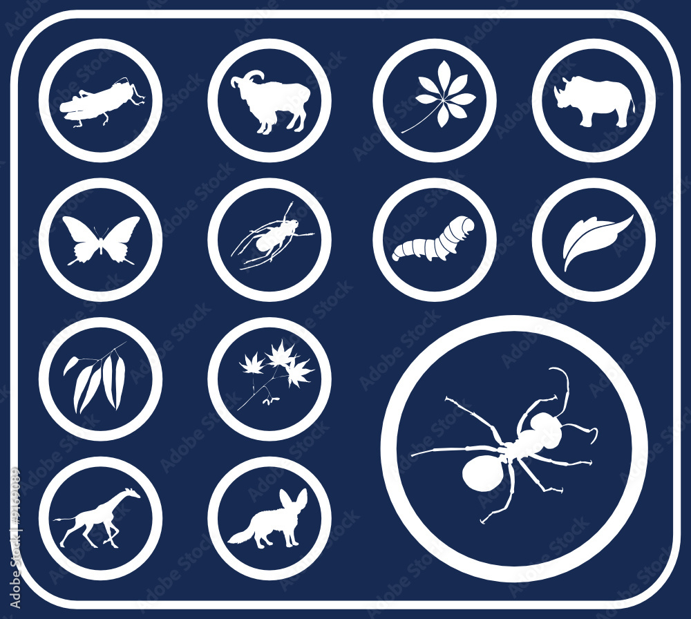 Set buttons. Nature Set buttons. Nature