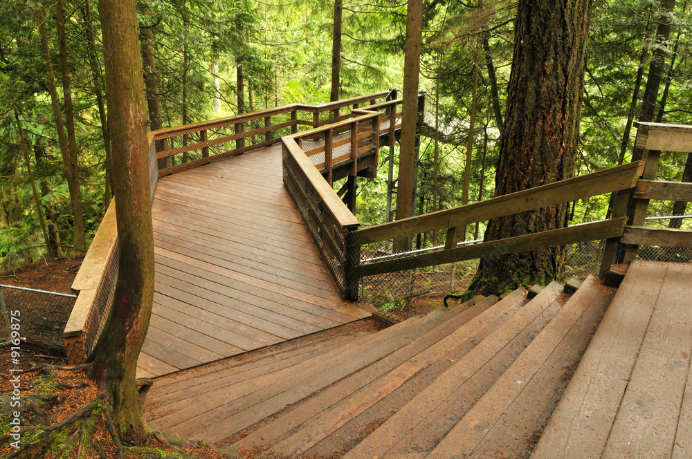boardwalk in lynn valley forest